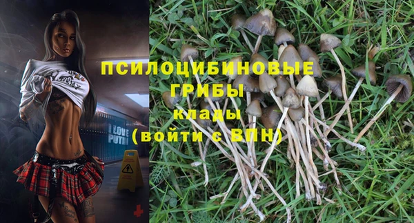 PSILOCYBIN Алексеевка