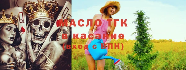 ECSTASY Алзамай