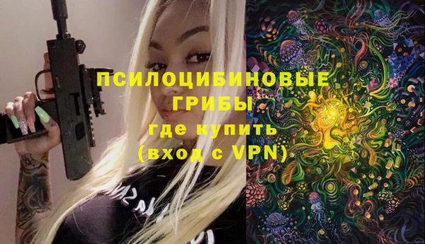 PSILOCYBIN Алексеевка
