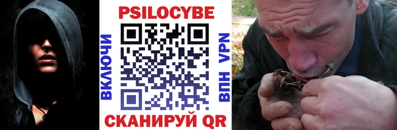 как найти закладки  Покров  Галлюциногенные грибы GOLDEN TEACHER 